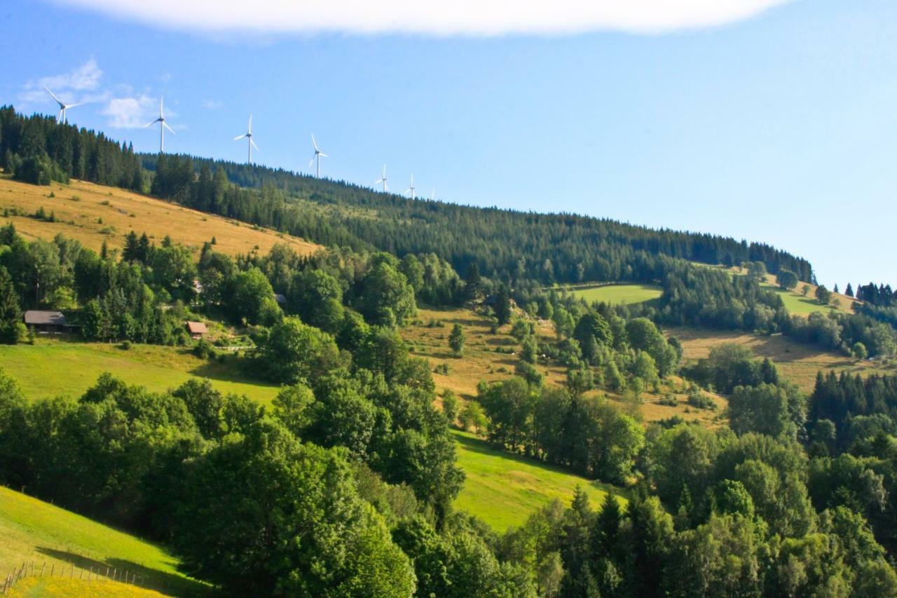 Genussgasthof Willenshofer Guest house Sankt Kathrein am Hauenstein